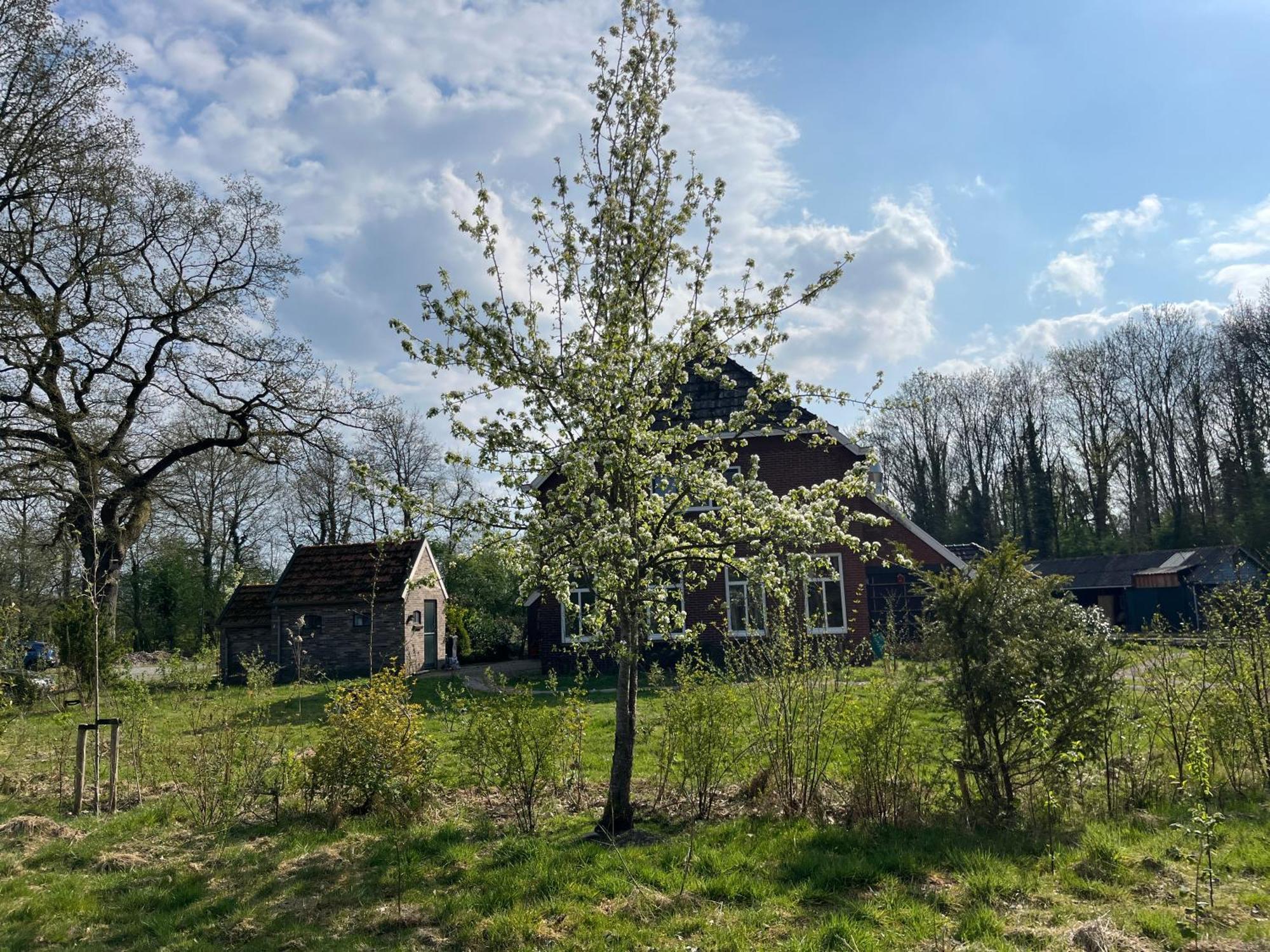 Hoeve Veganza B&B Vlagtwedde Exterior foto